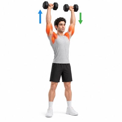 پرس سرشانه با دمبل